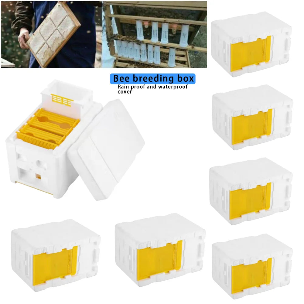 Beekeeping Tools For Beekeeper Supplies Bee Hive Frame Holder Equipment Kit Beehive Pollination King Bees Hive Box