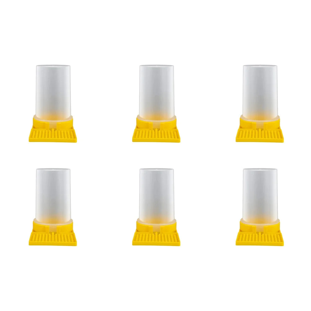 1-10PCS Bee Feeder Drinking Water Dispenser Beekeeping Honey Bee Feeder Watering Bee Supplies Beekeeper Feeding Bee Drinker Tool