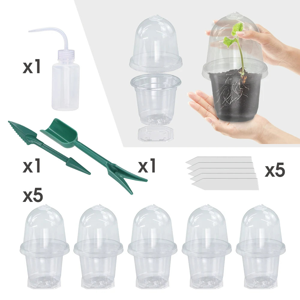 A set of Visible Clear Plants Germination Cup Transparent Plastic Nursery Growing Box Indoor Garden Greenhouse Seed Starter Tray