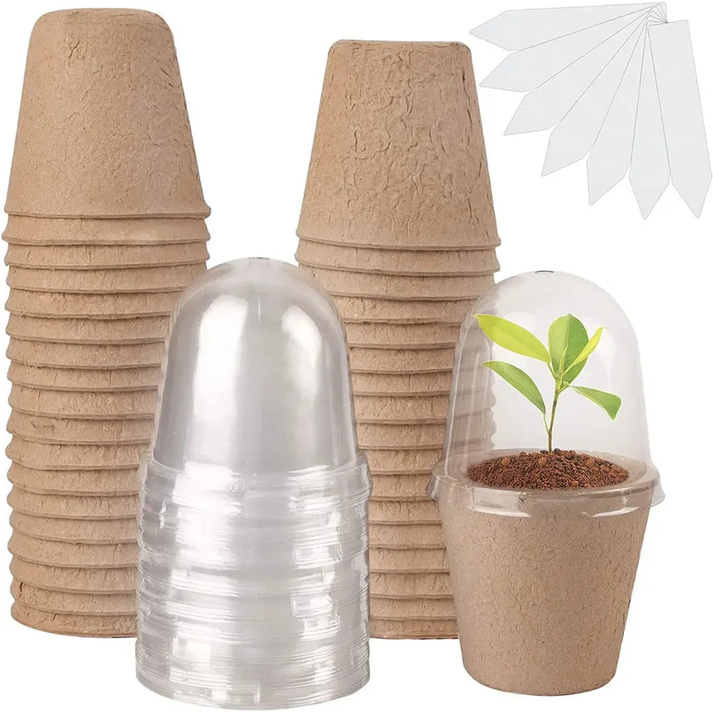 10Pcs Seedling Cup Seedling Pot Transparent Lid Germination Planter Biodegradable Plant Growing Cup Versatile Gardening Supplies