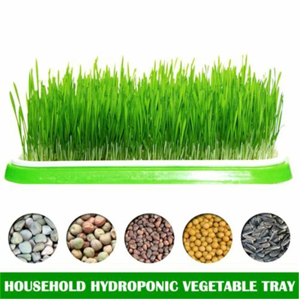 1Set Hydroponics Sprouter Sprouting Tray Double Layer Horticultural Plate Nursery Garden Plants Germination Pots