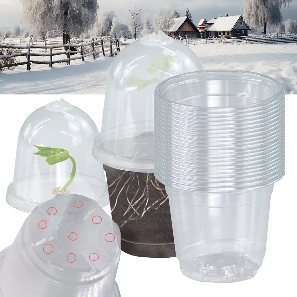 5/10PCS Clear 4-Inch PET Seedling Cup Transparent Nutrient Potwith Lid Robust Easy Monitoring Seedling Development  Container