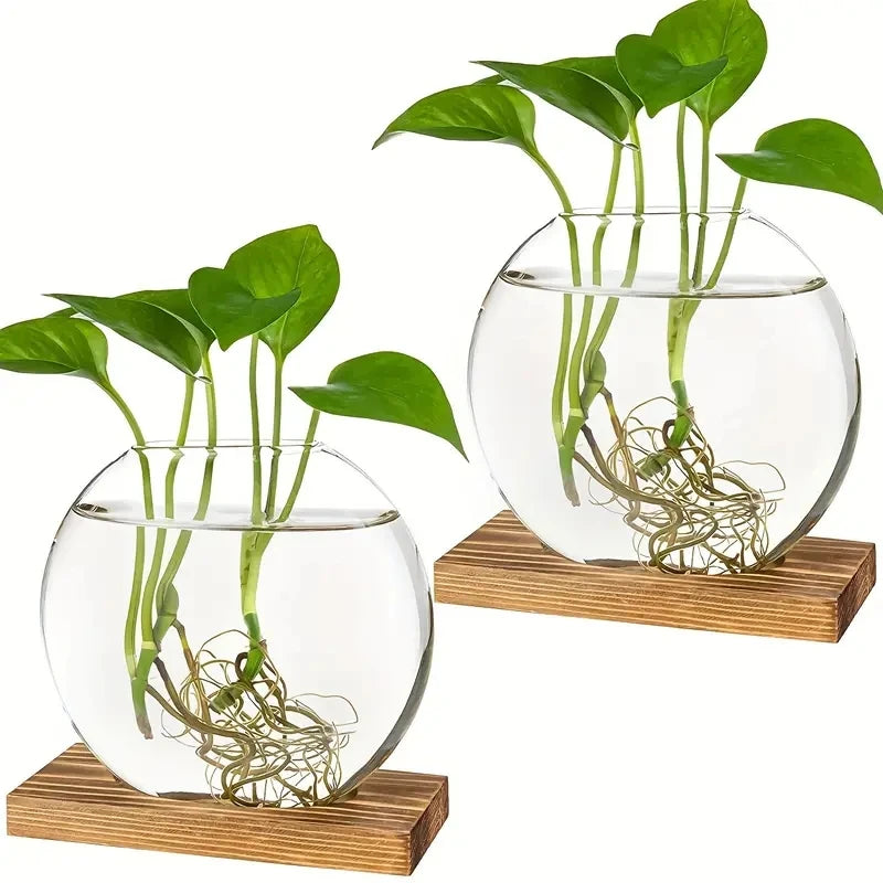 2pcs 2-Pack Round Glass Terrariums with Wooden Stand for Propagation, Small Hydroponic Plants, Home Office Decor