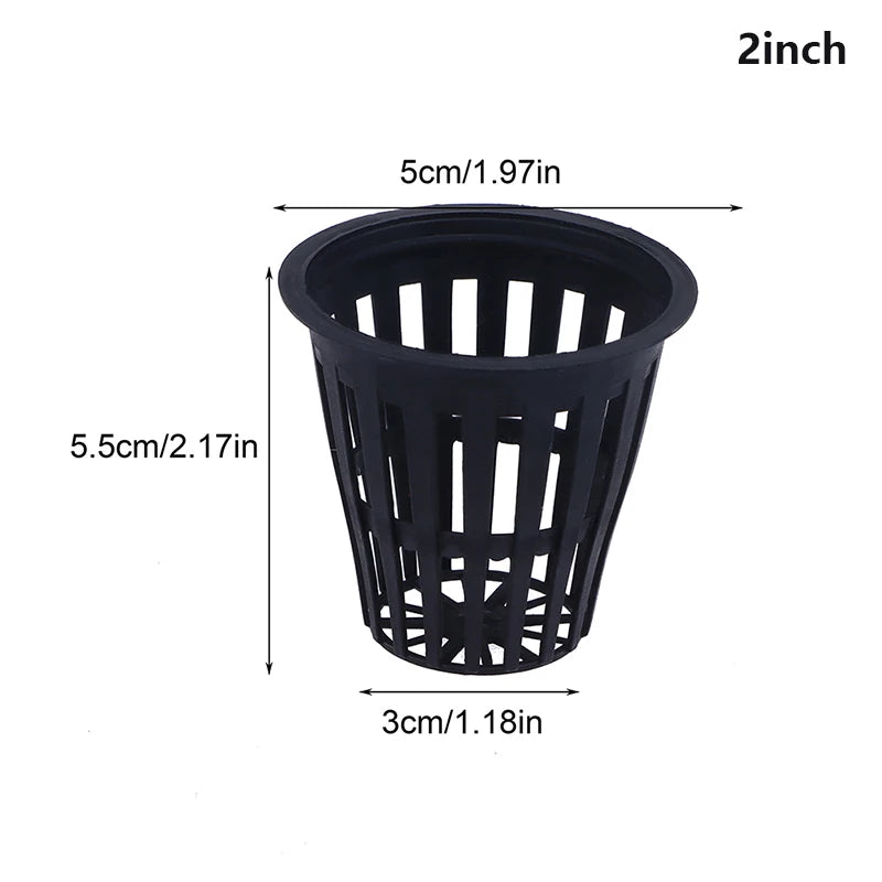 10Pcs 2 Inch 3 Inch Grow Orchids Hydroponics Cups Planting Mesh Pot Soilless Net Basket Slotted Colonization Container