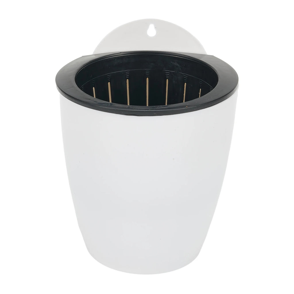 Wall-Mounted Flower Pot Automatic Water-Absorbing Plastic Green Dill Circular Creative Wall Hanging Green Luo Small Flower Pot