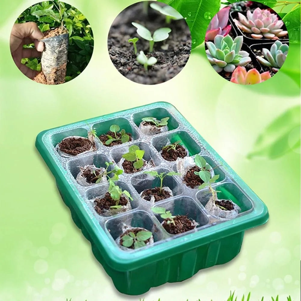 6/12Grids Seed Starter Tray with Ventilation Hole Seeds Growing Cultivation Planting Box Mini Greenhouse Plant Starter Kit