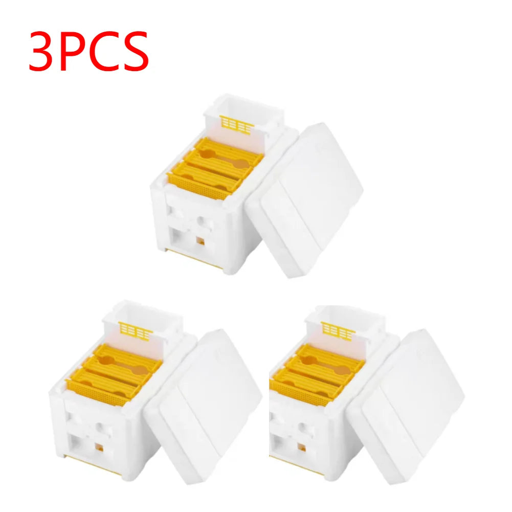 Beekeeping Tools For Beekeeper Supplies Bee Hive Frame Holder Equipment Kit Beehive Pollination King Bees Hive Box