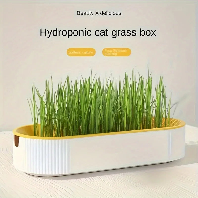 1pc New hydroponic box cat snack cat grass seed planting set separated soilless hydroponic cat grass
