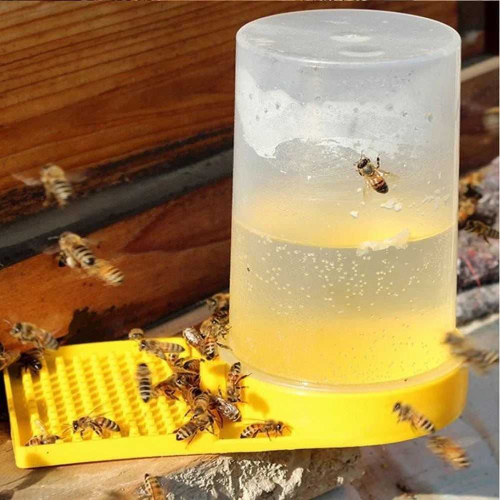 Beehive Beekeeping Box Tools Bee Hive Frame Holder Equipment Kit Beehive Pollination King Bees Hive Box For Beekeeper Supplies
