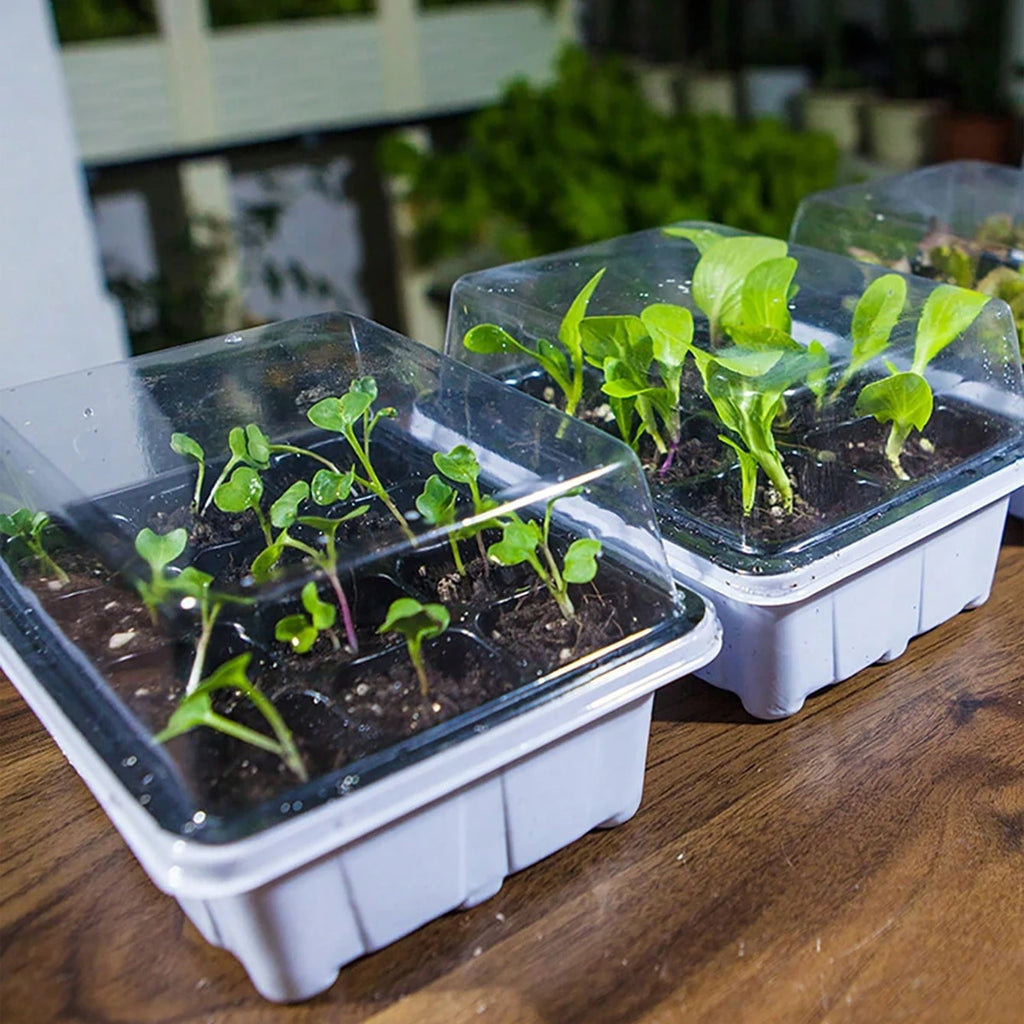 1 set of three-layer 12 grid thick plastic seedling tray set,handheld greenhouse planting ,suitable for seed germinatioandgrowth