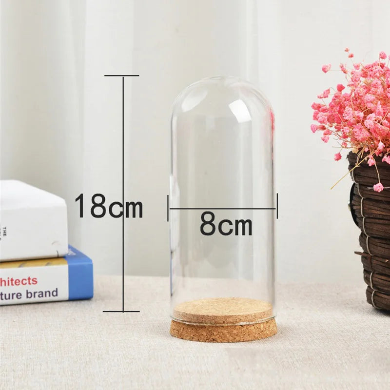 8/10/12cm Modern Handcraft Glass Dome Cover Dry Flower Vase With Wood Cork Base Landcrape Figurines Model Display Artwork