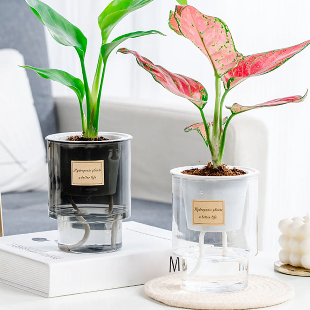 Self Absorbing Flowerpot Transparent Hydroponic Plant Vase Anti Fall Plastic Flowerpot Spring Seedling Planting Pot Garden Tools