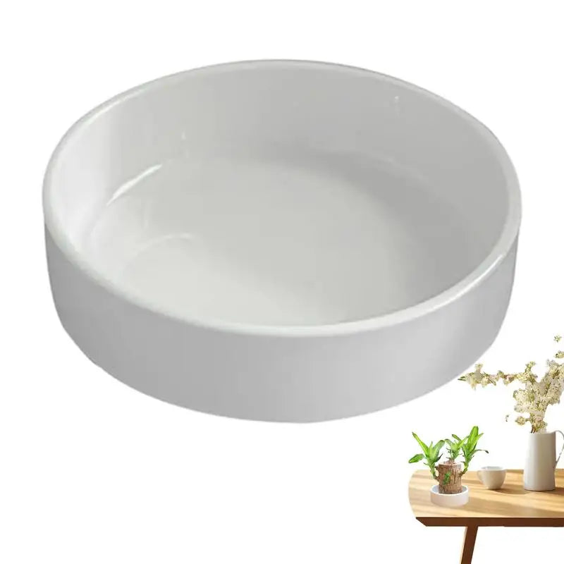 Brazilian Wood Plates Lucky Wood Hydroponic Tree Stump Desktop Plants Hydroponic Plant Tray Offices Plant To Purify Air