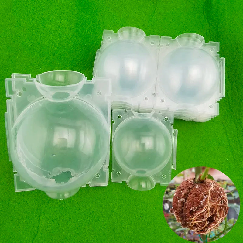 5cm 12cm High Pressure Propagation Plant Rooting Ball root grow box Graft Breeding growing Case Transparent Planting Nursery A1