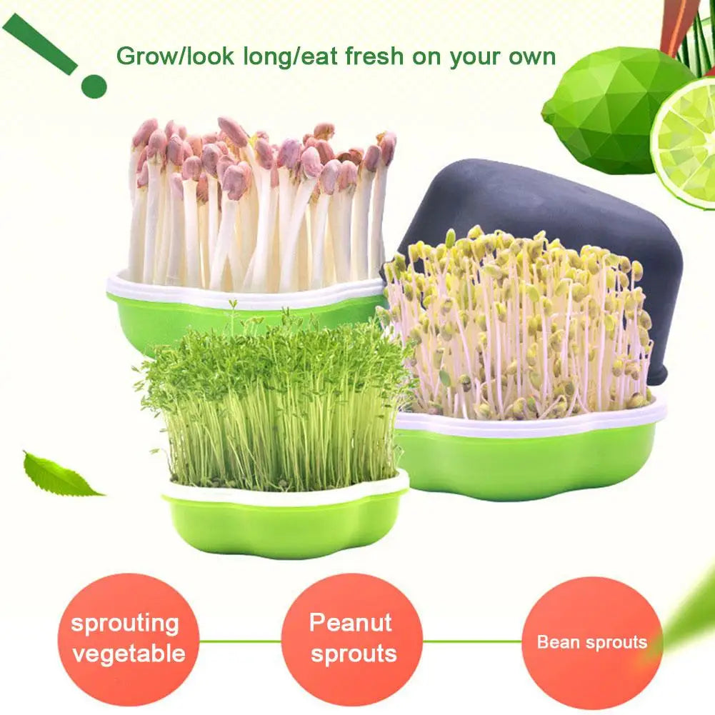 Peanut Soilless Water Cultivation Bean Sprout Plant Box Tray Planting Pot Supplies Planting Garden Seedling Sprout Product