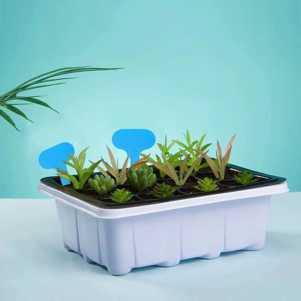 1 Set-Nursery Seed Planting Planting Pot Box Greenhouse Sowing Garden Seed Pot Tray Plant Plant Tray with Lid