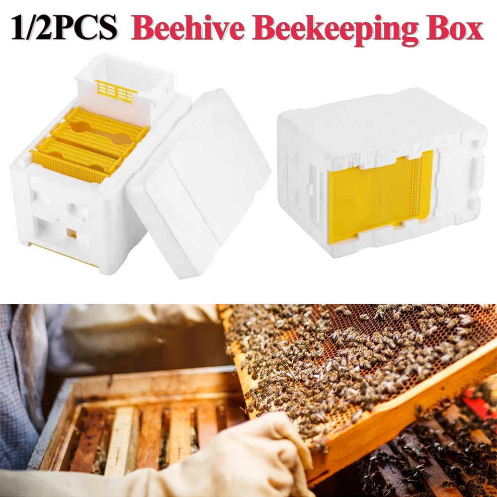 1/2PCS Queen Rearing Bee Breeding Box Beehive Holder Beekeeping Feeder Foam Pollination Box Bee Breeding Case Beekeeper Cage
