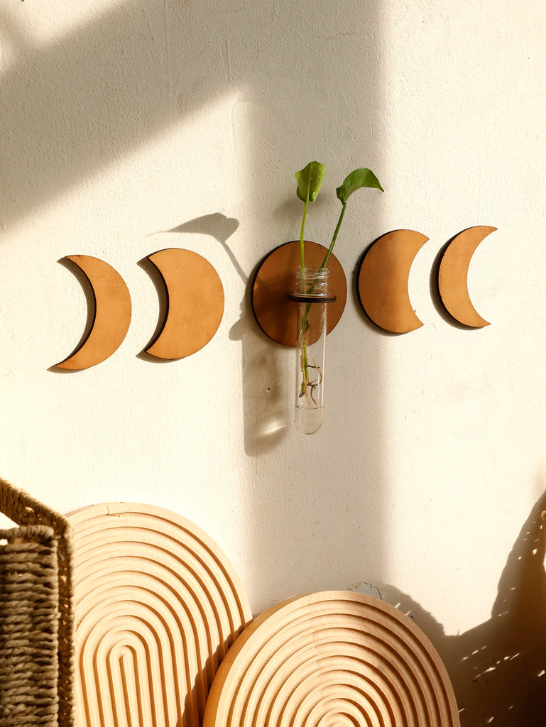 Plant Propagation Station Wall Hanging Moon Phase Home Decorations Propagation Vases for Plants Wooden Stand Hydroponics Plants