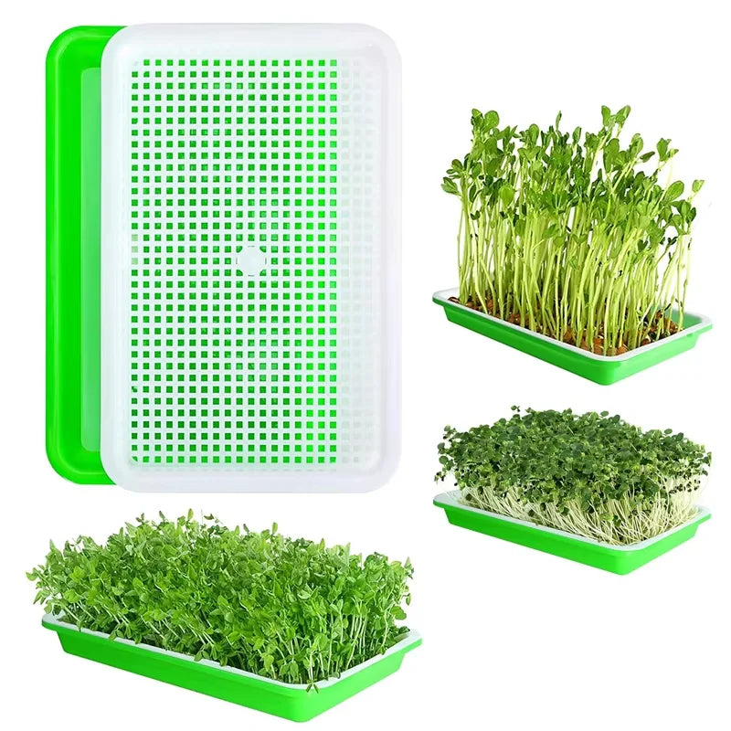 Seedling Trays for Sprouting Bean Sprouts Hydroponic Germination Pots and Home Cultivation of Soil-Less Vegetables