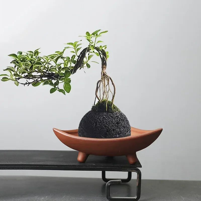 Personalized Ceramic Flower Pots for Bamboo Indoor Micro Landscape Plants Purple Clay Pot Decoration