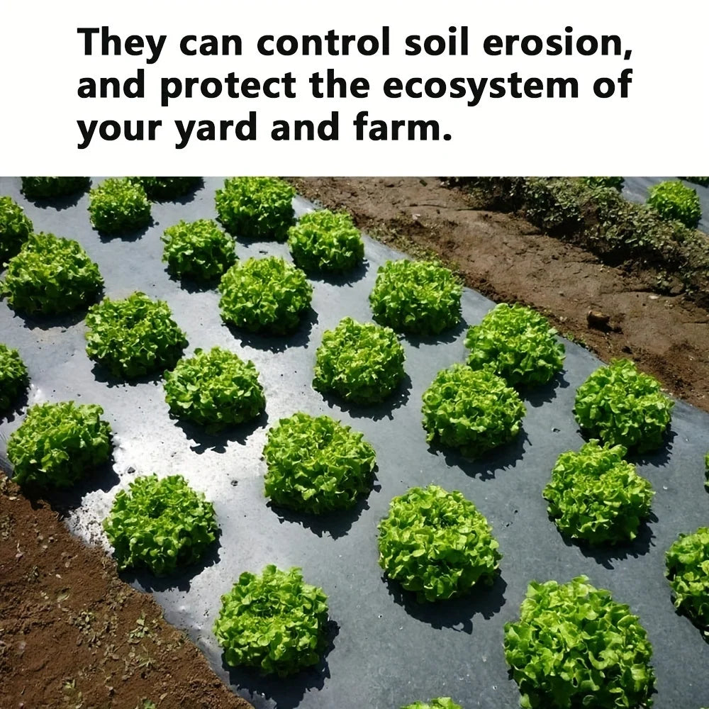 Grow Your Vegetables with Our High-Quality Black Plastic MulchFilm - Perfect for Greenhouses and Plant Protection!