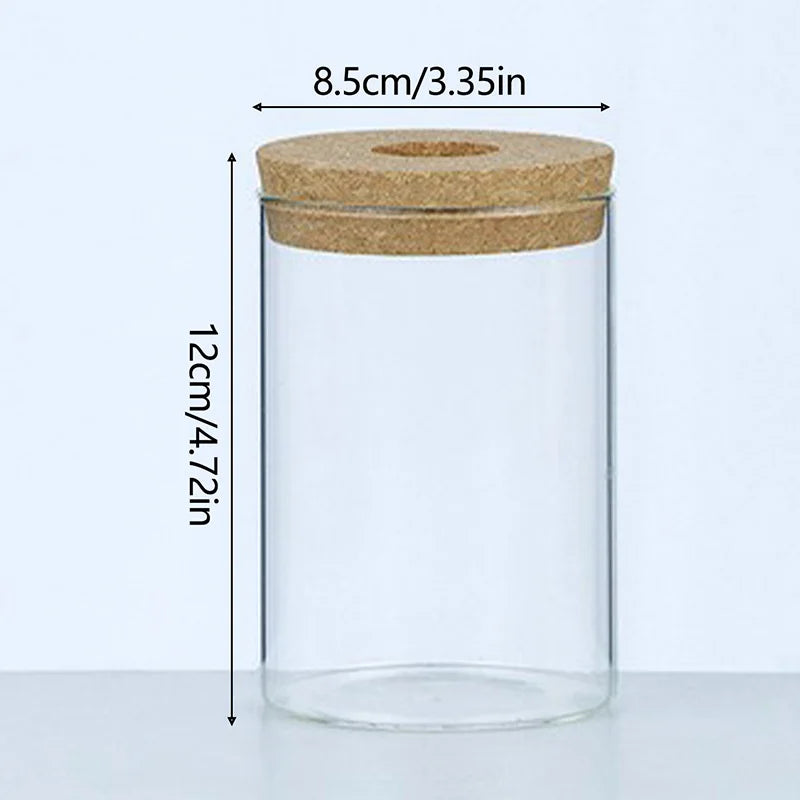 1pc Transparent Hydroponic Flower Pot Glass Soilless Planting Potted Green Plant  Flower Pot Home Vase Decoration
