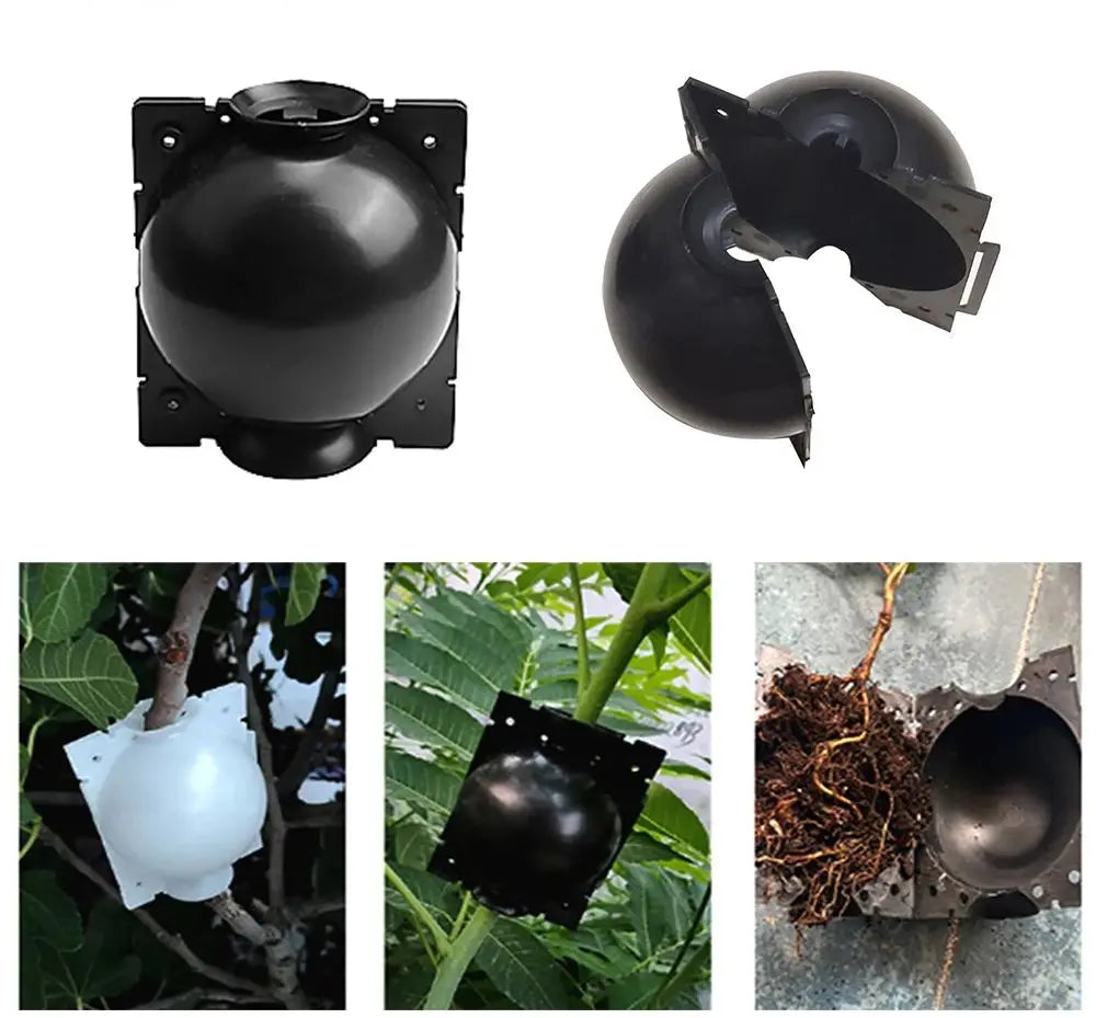 1/6/12Pcs Reusable Plant Root Growing Box Cutting Grafting Rooting Ball Garden Rooting Propagation Ball S Breeding Equipment