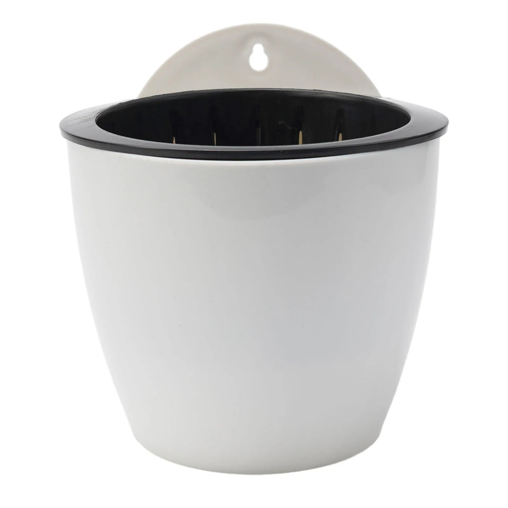 Wall-Mounted Flower Pot Automatic Water-Absorbing Plastic Circular Creative Wall Hanging Green Luo Small Flower Pot