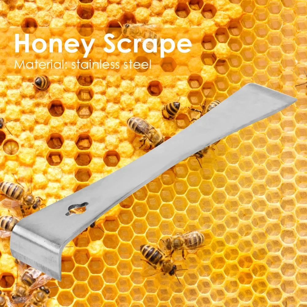 Beehive Beekeeping Box Tools Bee Hive Frame Holder Equipment Kit Beehive Pollination King Bees Hive Box For Beekeeper Supplies