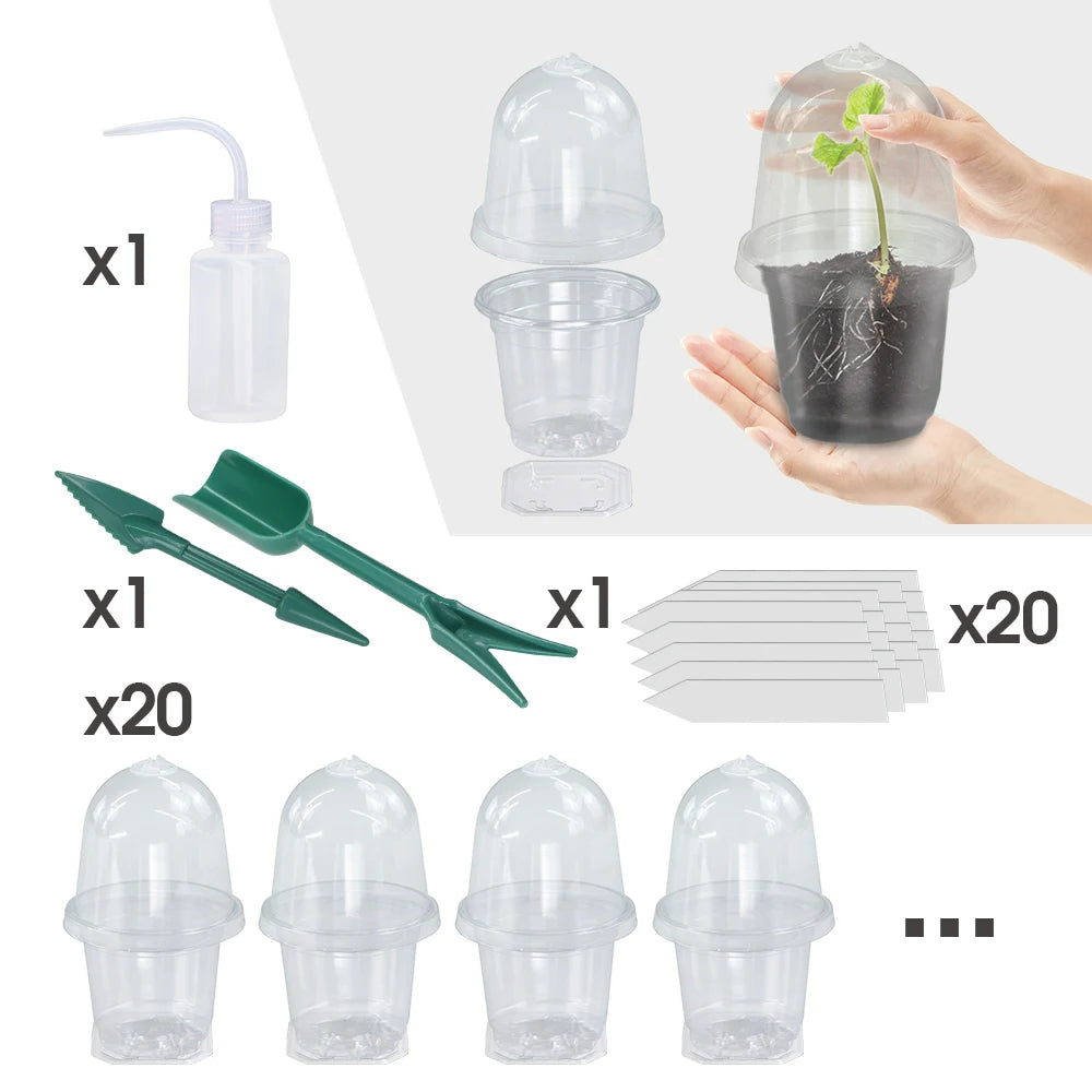 A set of Visible Clear Plants Germination Cup Transparent Plastic Nursery Growing Box Indoor Garden Greenhouse Seed Starter Tray