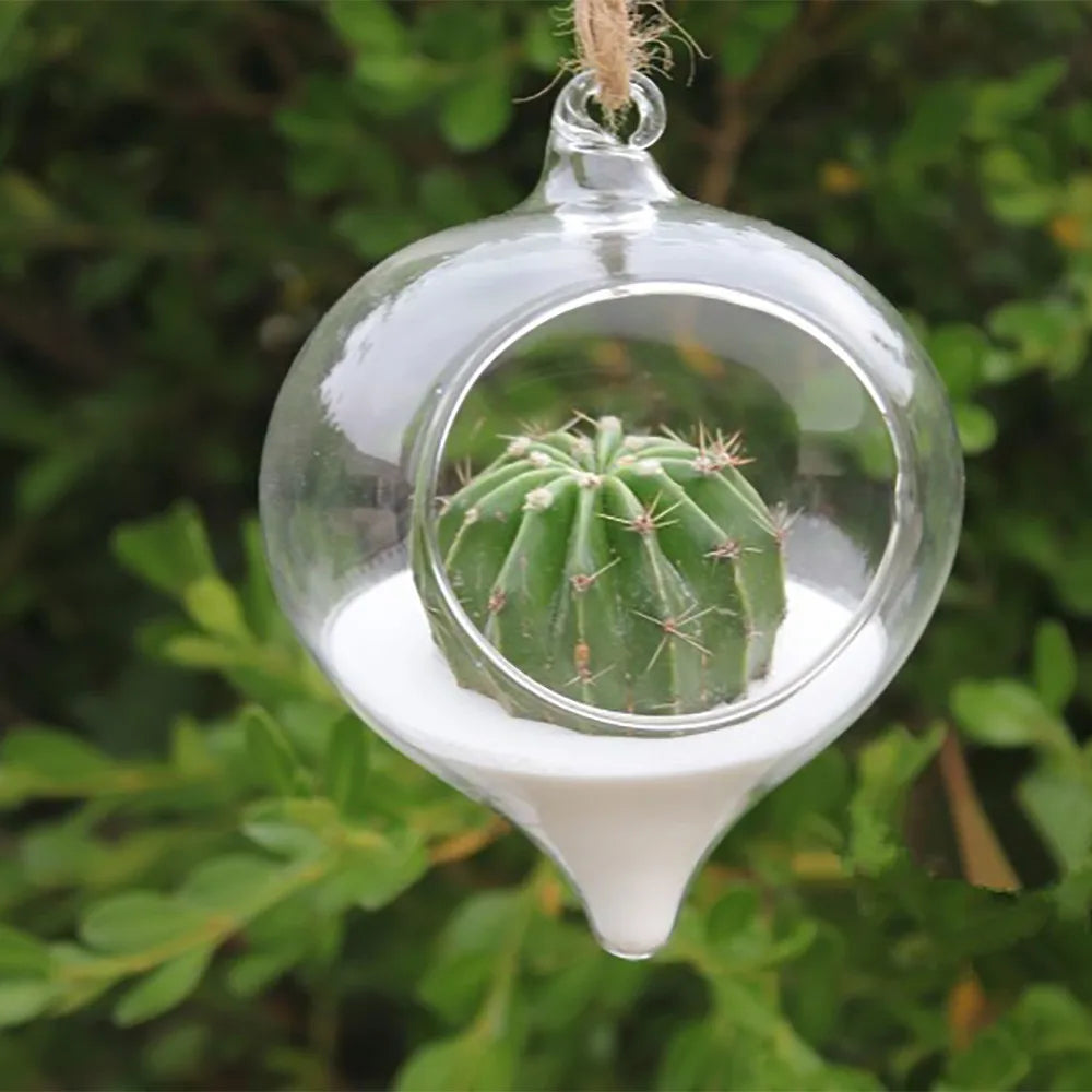 Clear Flower Hanging Vase Glass Planter Succulents Plant Terrarium Container Home Decor Garden Ball Planting Bottle Flower Pot