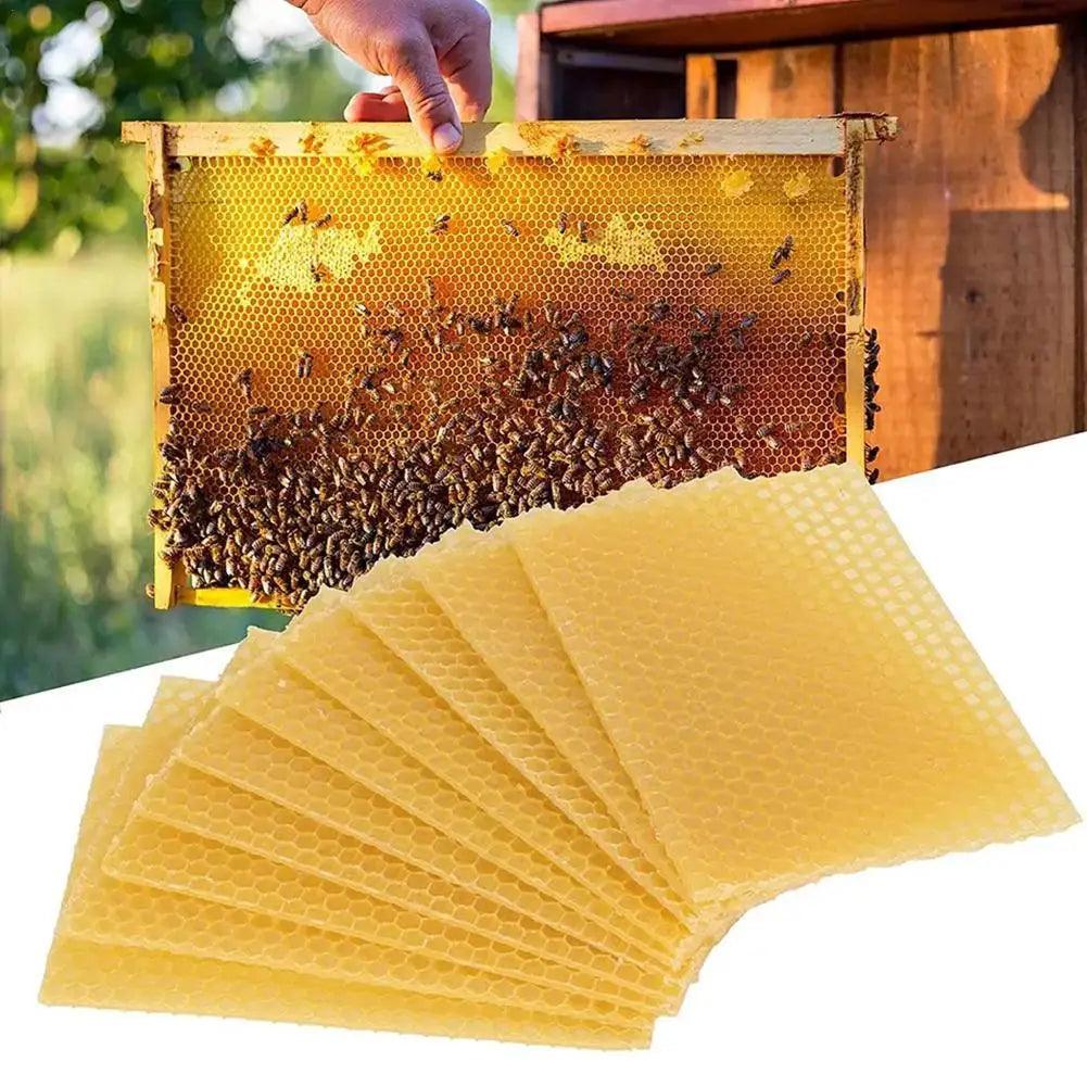 10PCS 9x13cm Bee Wax Foundation Bee Hive Wax Frames Base Sheets Bee Comb Honey Frame Beeswax Sheets Beekeeper Equipment
