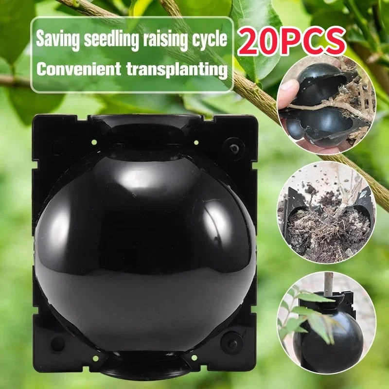 20/5PCS Plant Rooting Ball Garden Grafting Box Sapling Propagation Breeding Case Plant Transplanting Nursery Ball Reusable