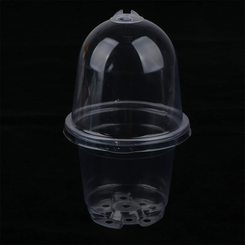 5Pcs Pastic PET Seedlings Cups Plant Nursery Pot with Cover Humidity Dome Tray Transplanting Planter Container
