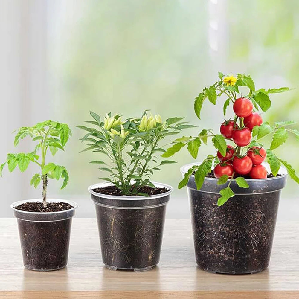 5 Packs 3/4/5.2/6.7 Inch Clear Nursery Pots, Transparent Plastic Planter with Drainage Holes, Seed Starting Pot Flower Plant Con