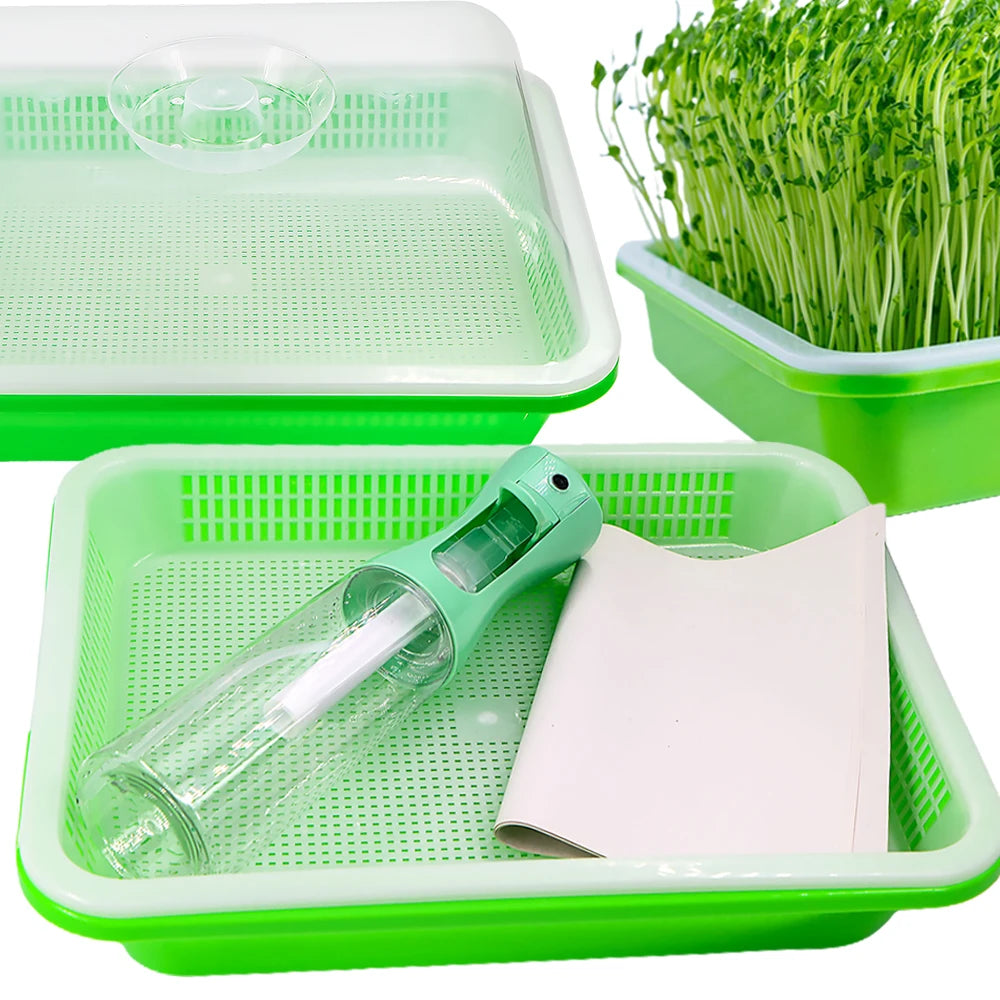 Seedling Trays Germination Box Kit Transparent Cover Nursery Seedling Greenhouse Indoor Garden Growth Pots Spray Bottle Humidity