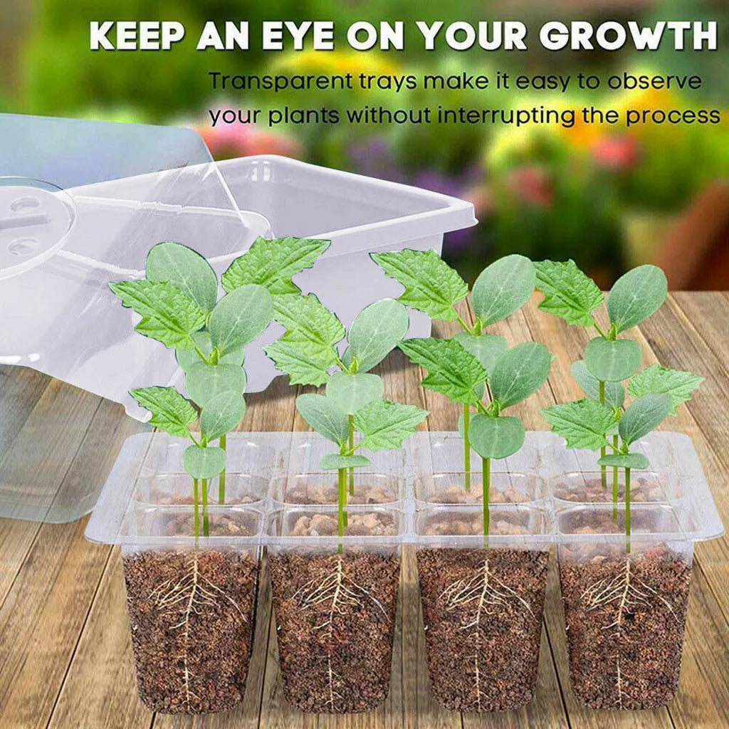 12 Hole Plant Seed Grows Box Nursery Seedling Garden Yard Tray Hot Seed Th Box Convenient For Daily Use Sowing Tray New