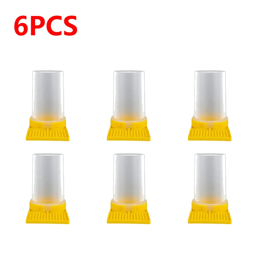 1-6PCS PP Beekeeping Beehive Water Feeder Bee Drink Nest Entrance Beekeeper Cup Fed Tool For Beehive Water Feeder