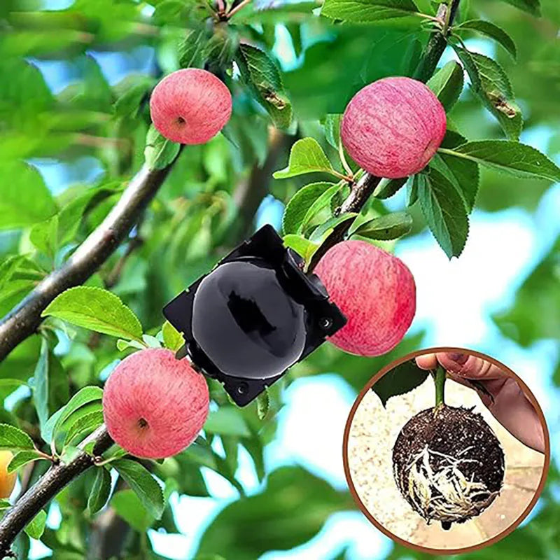 10PCS Rooting Ball Box Grafting Tool Reusable High Pressure Tree Rooter Air Layering Propagation Seedling Pot Rooting Ball