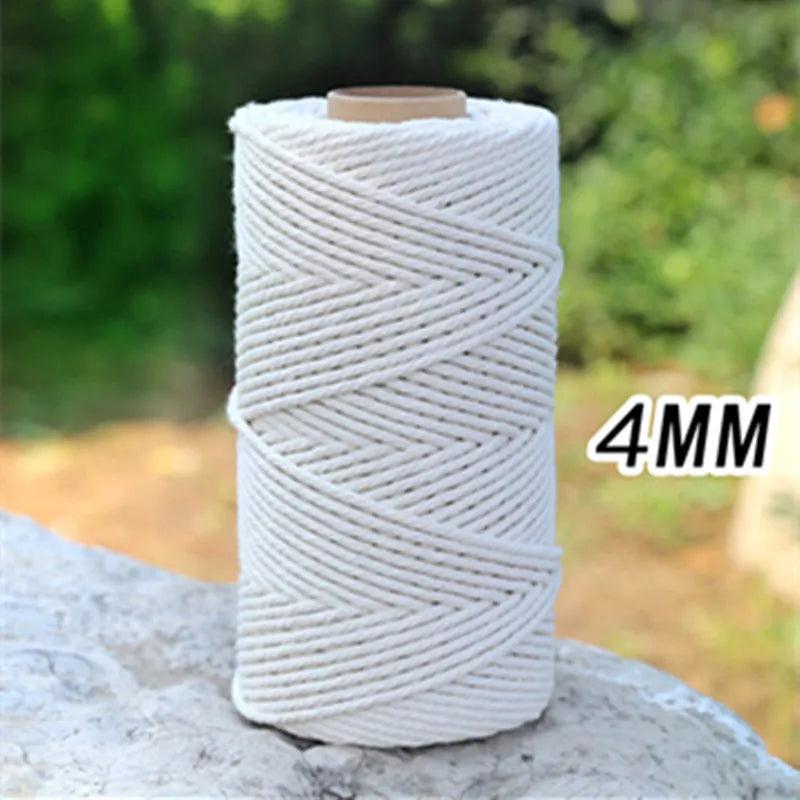 44188685205701