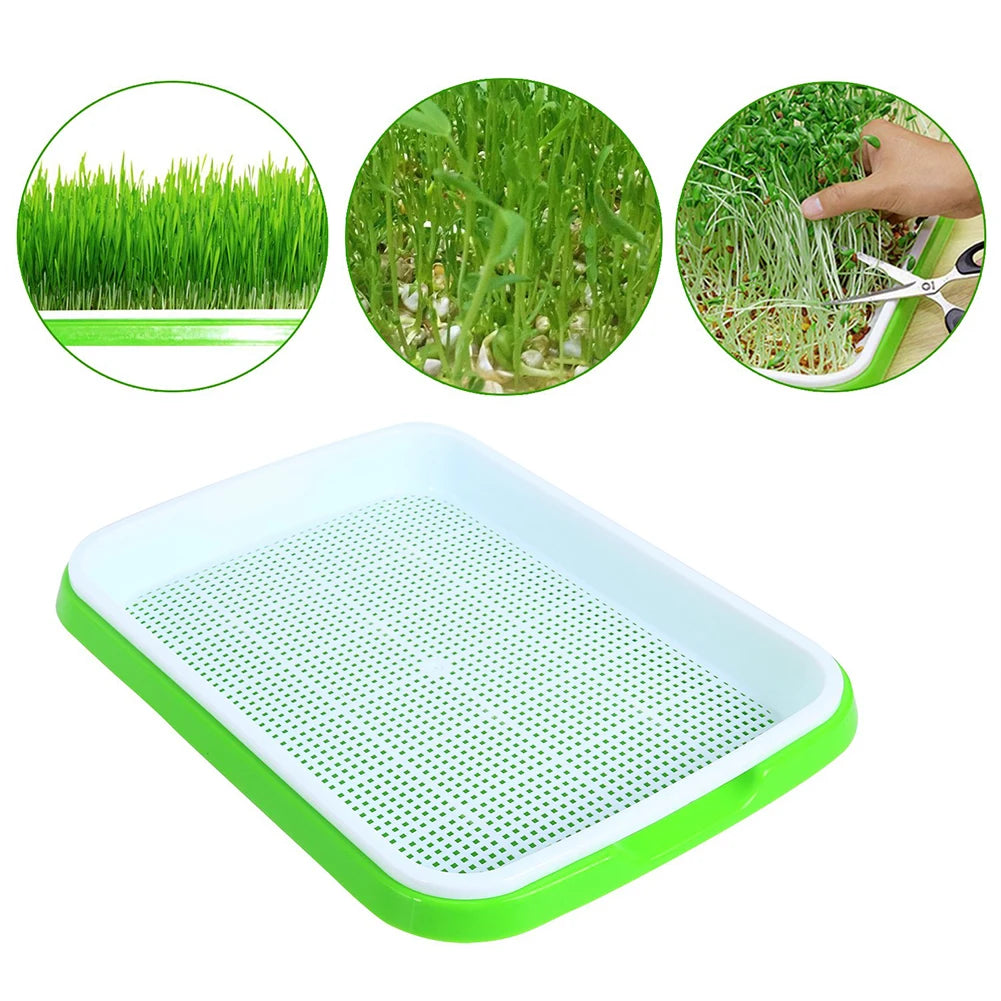 Nursery Pots Tray Grow Basket Hydroponics Microgreens Plate Tool Vegetables Buckwheat Double Layer Grass Germination Nursery Pot