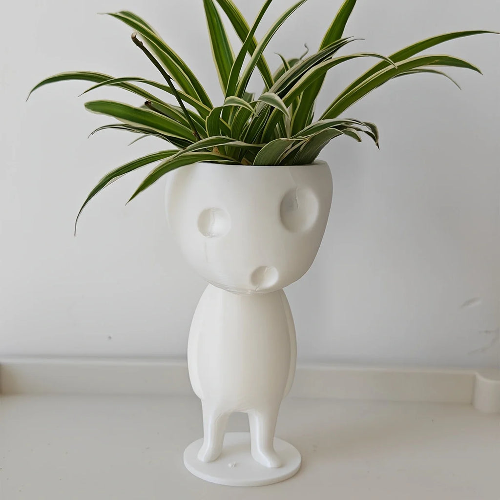3D technology printing decorative ornaments, very creative and interesting succulent planting pots, creative succulent planting