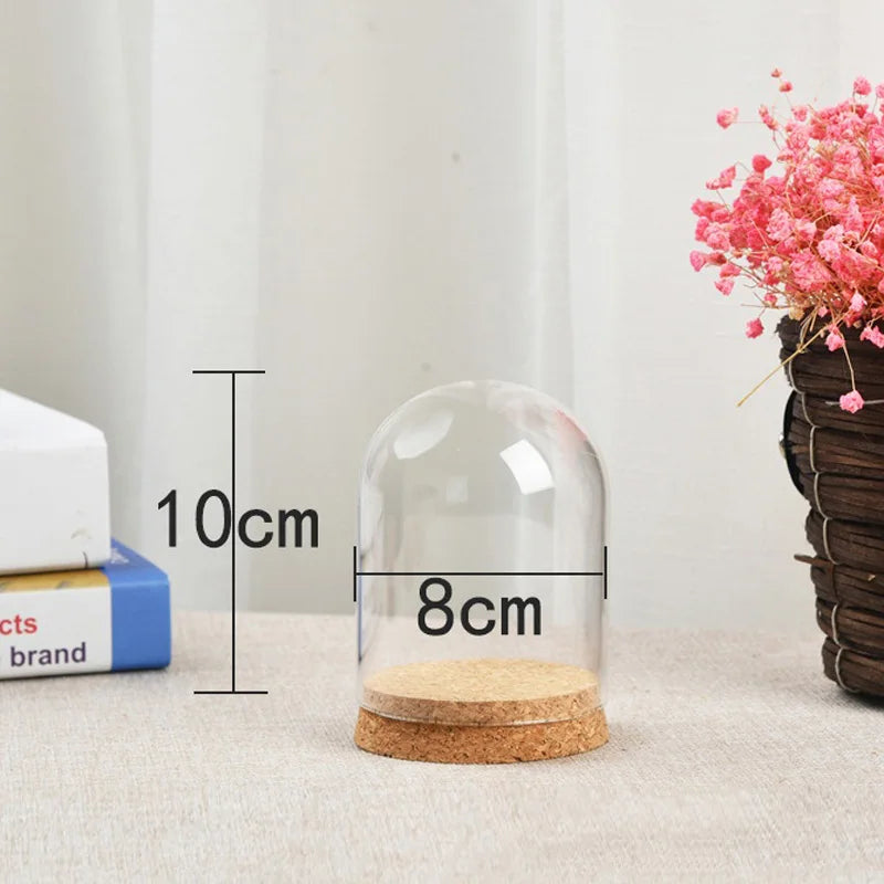 8/10/12cm Modern Handcraft Glass Dome Cover Dry Flower Vase With Wood Cork Base Landcrape Figurines Model Display Artwork