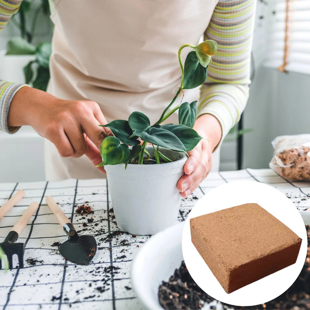 Coconut Coir Bricks Nutrient Soil For Seed Seedling Cultivation Organic Improved Coconut Coir Garden Courtyard Planting Tools