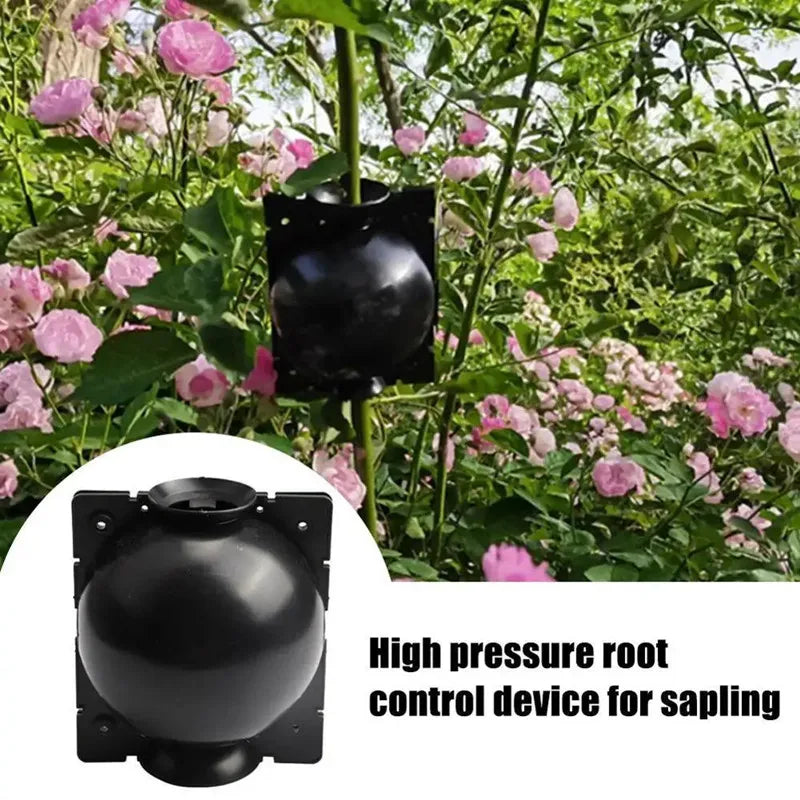 5/10pcs Plant Rooting Ball High Pressure Graft Breeding Case Nursery Box Propagation Container Garden Seeds Rooting Tools Boxes