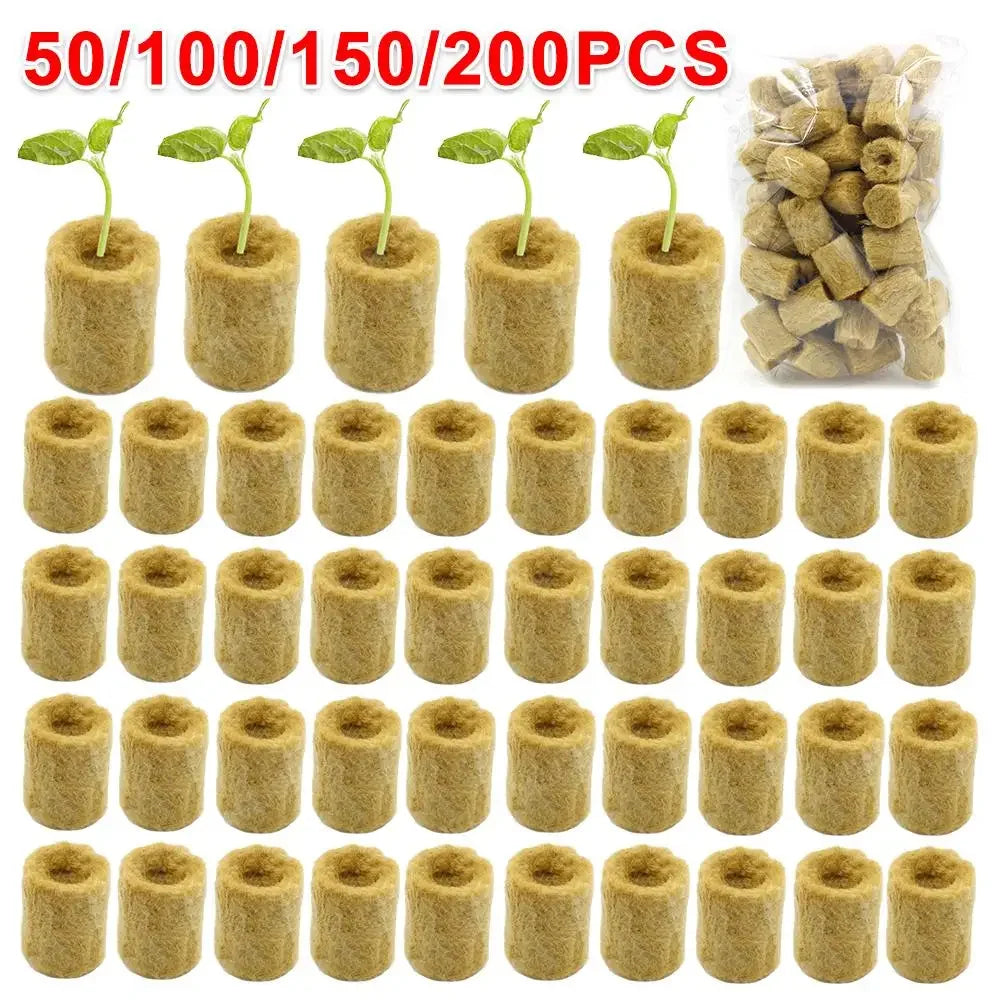 50/100/150/200pcs Planting Sponge Grow Sponge Seed Seedling Grow Plug Plant Hydroponic Propagation For Home Garden Accessories