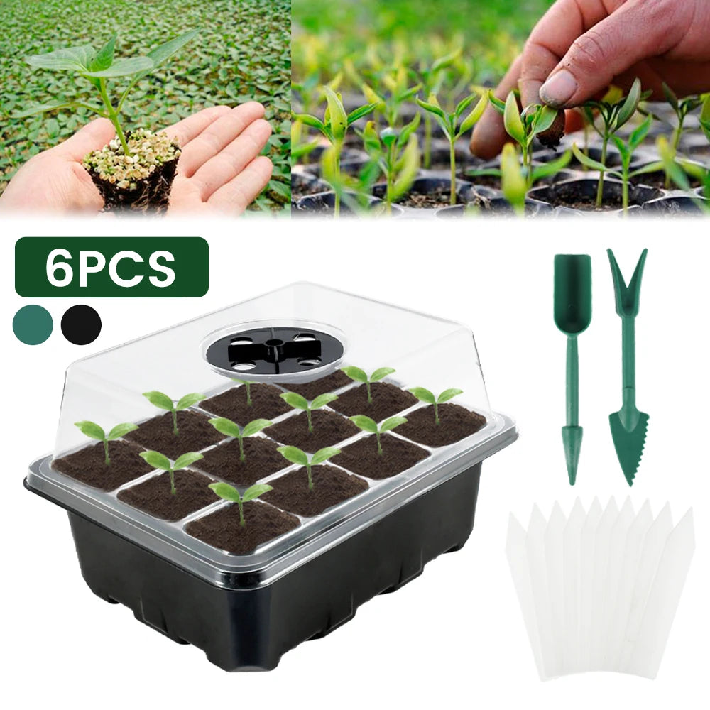 6Pcs Seedling Starter Trays 12 Hole Plastic Plant Seeds Grow Box Vegetable Flower Plant Pots Nursery Grow Box for Garden Ourdoor