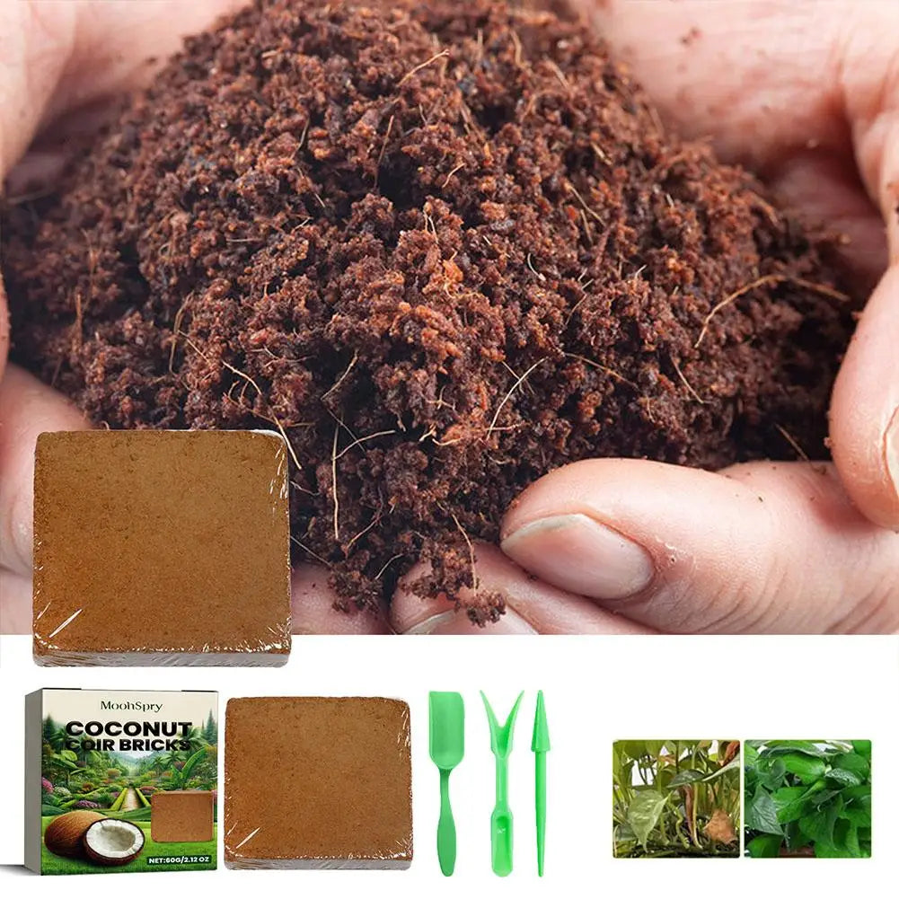 Universal Vegetable Plant Organic-Fiber Block Water-swellable Compressed Coconuts Bran Seedling Block For Courtyard