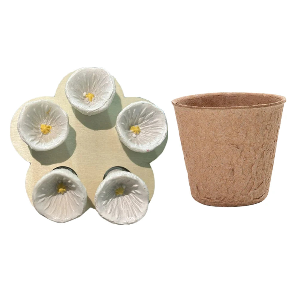 Bee Insect Drinking Cup Resin Five Flower Bee Water Feeder Drinker Cup Honeybee Water Dispenser Garden Feeding Drinker Decor