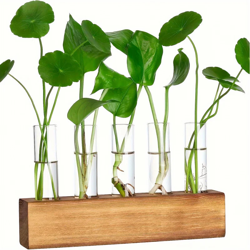 Exquisite Hydroponic Flower Vase, 5 Glass Cultivation Test Tubes, Elegant Gift, Plant Wooden Base Aquarium Indoor Decoration!